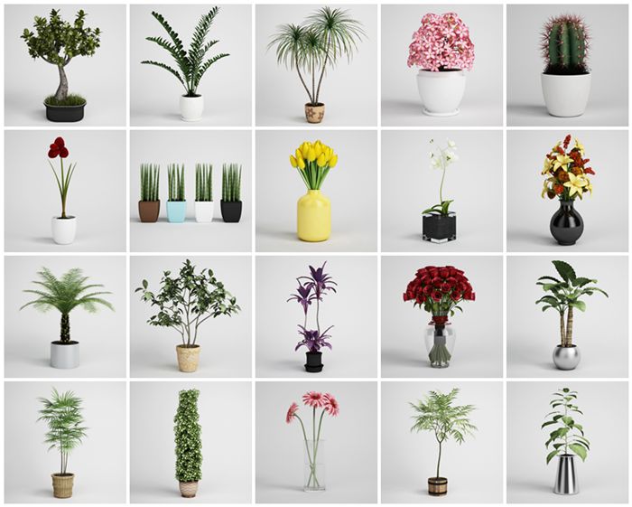 CGAxis植物盆栽3D模型 CGAxis Models Volume 1 Plants