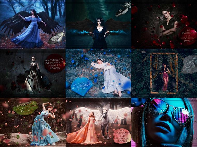 9000 多个叠加层和设计元素超级合辑包 The Ginormous Collection of 9000+ Overlays And Design Elements