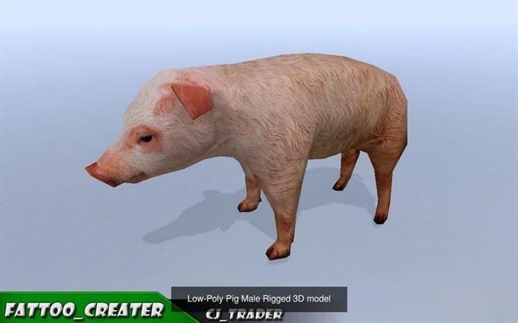 Cgtrader - Lowpoly Wild Animals Rigged 3D model Collection Pack
